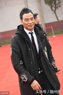 1955年出生的明星,岁月流转中的永恒星光