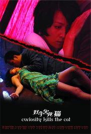 好奇害死猫娱乐,揭秘娱乐界的神秘面纱